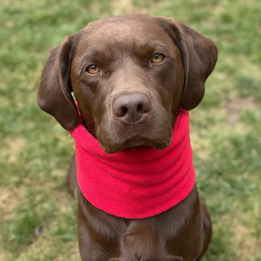 Human & Hound Fleece Tassel Hat & Snood