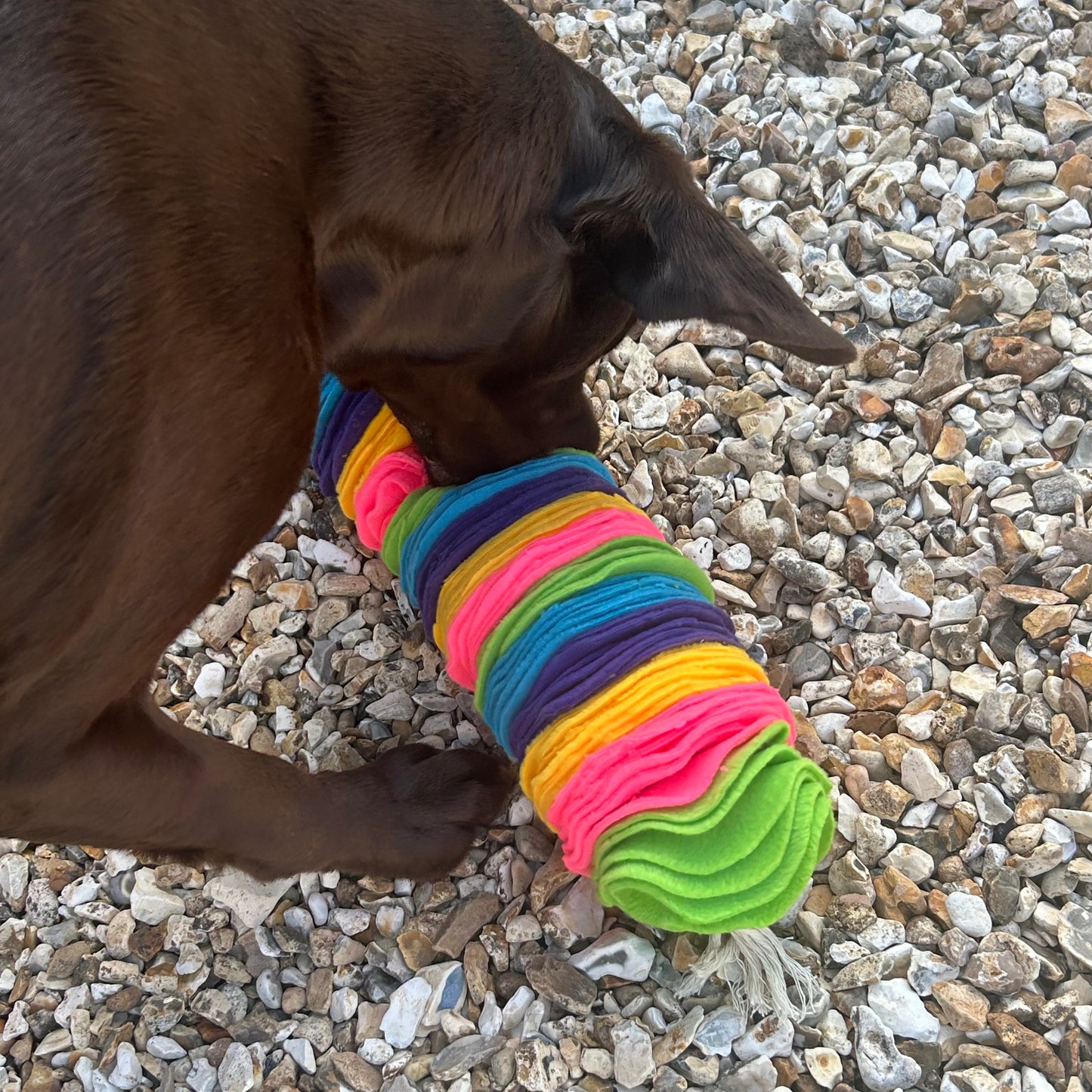 Snuffle Enrichment Toy