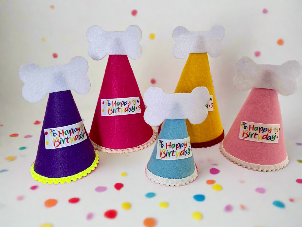 Party Hat