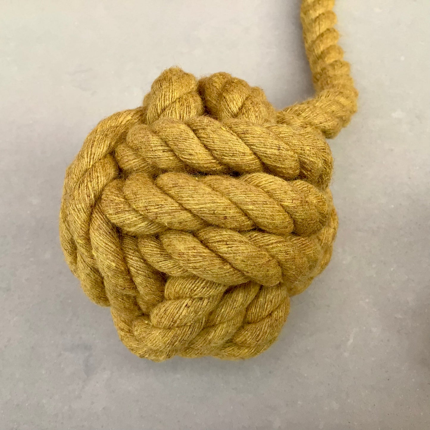 Gold Ball Rope Toy