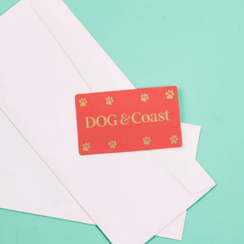 Red card with 'DOG & Coast' text and paw prints on a white envelope against a teal background