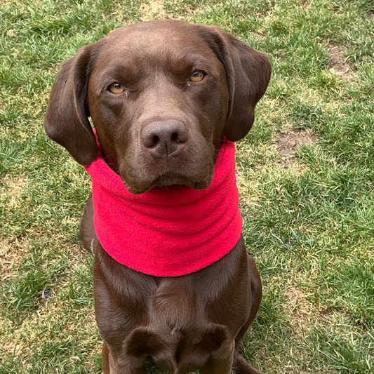 Fleece Dog Snoods