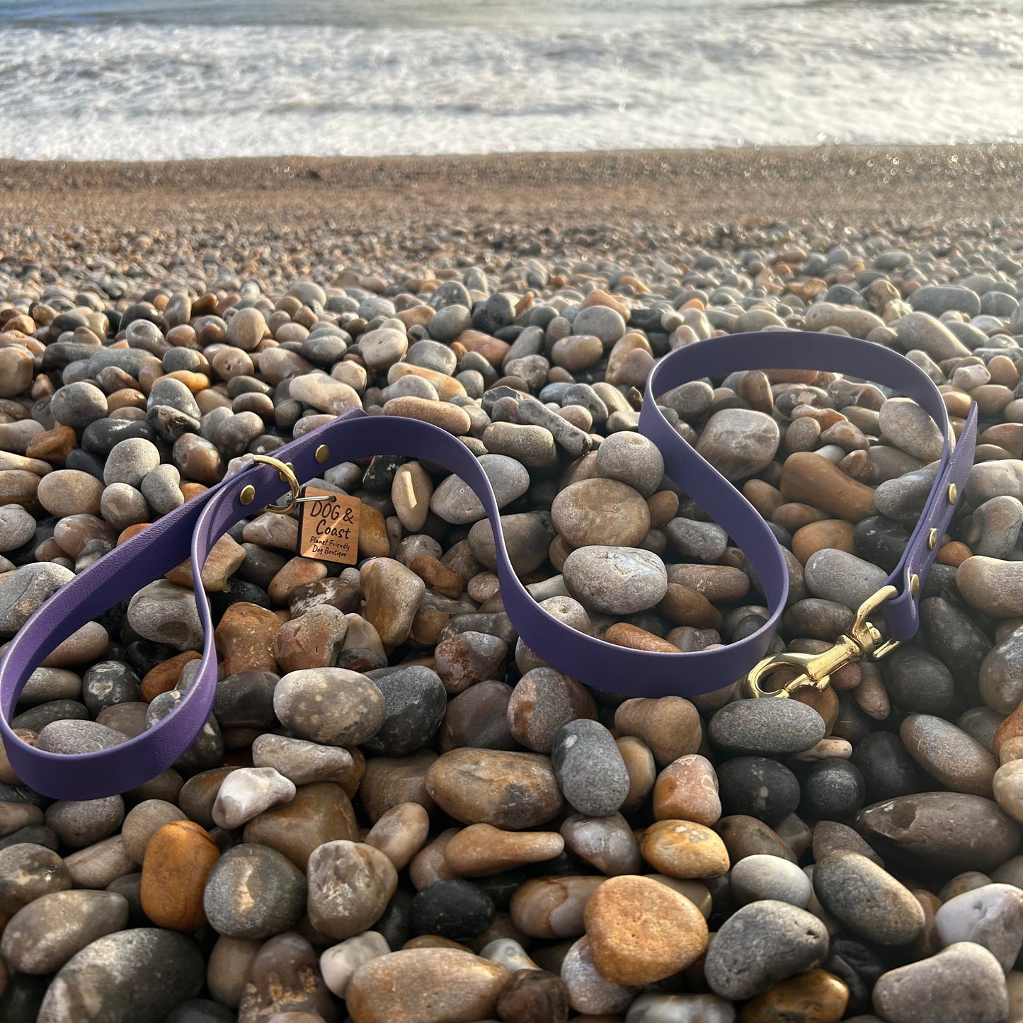 Purple BioThane Lead with Solid Brass Hardware