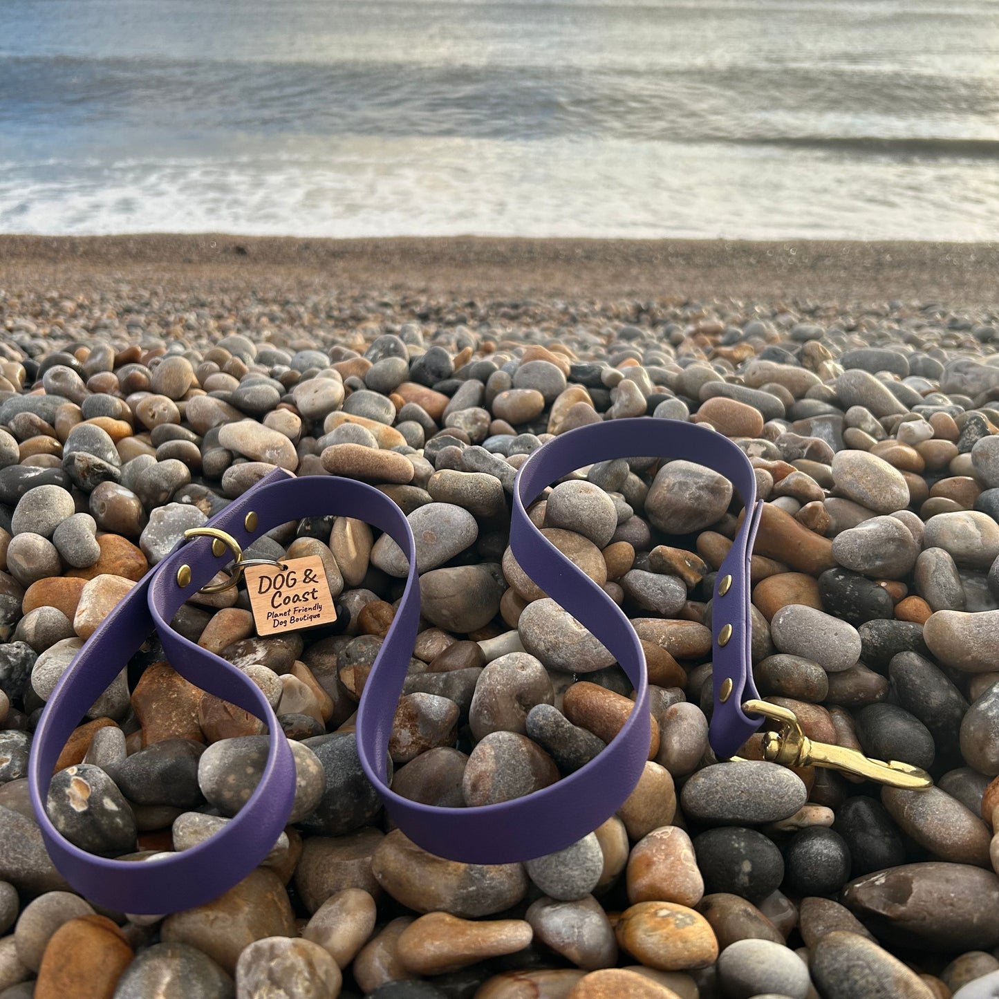 Purple BioThane Lead with Solid Brass Hardware