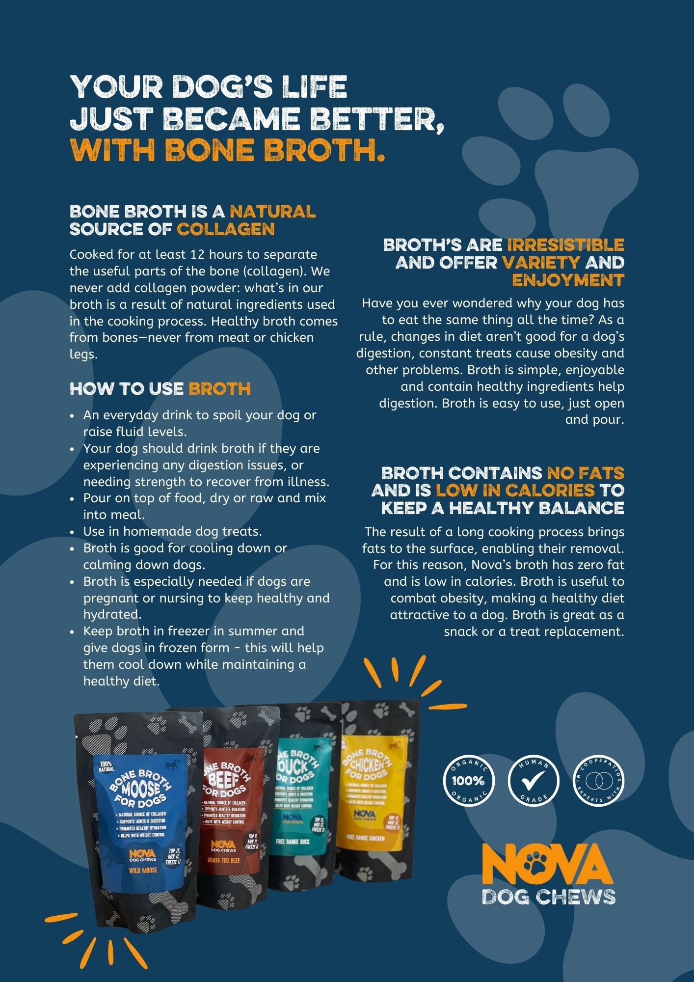 Bone Broth