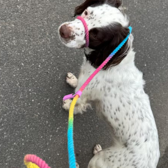 Party Time Slip Lead