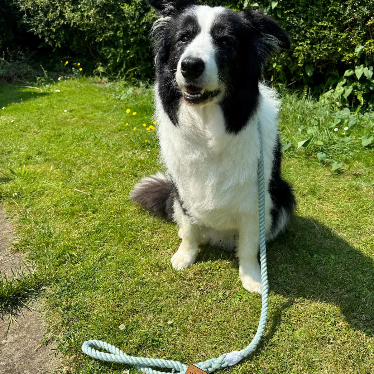 Sage Green Rope Lead