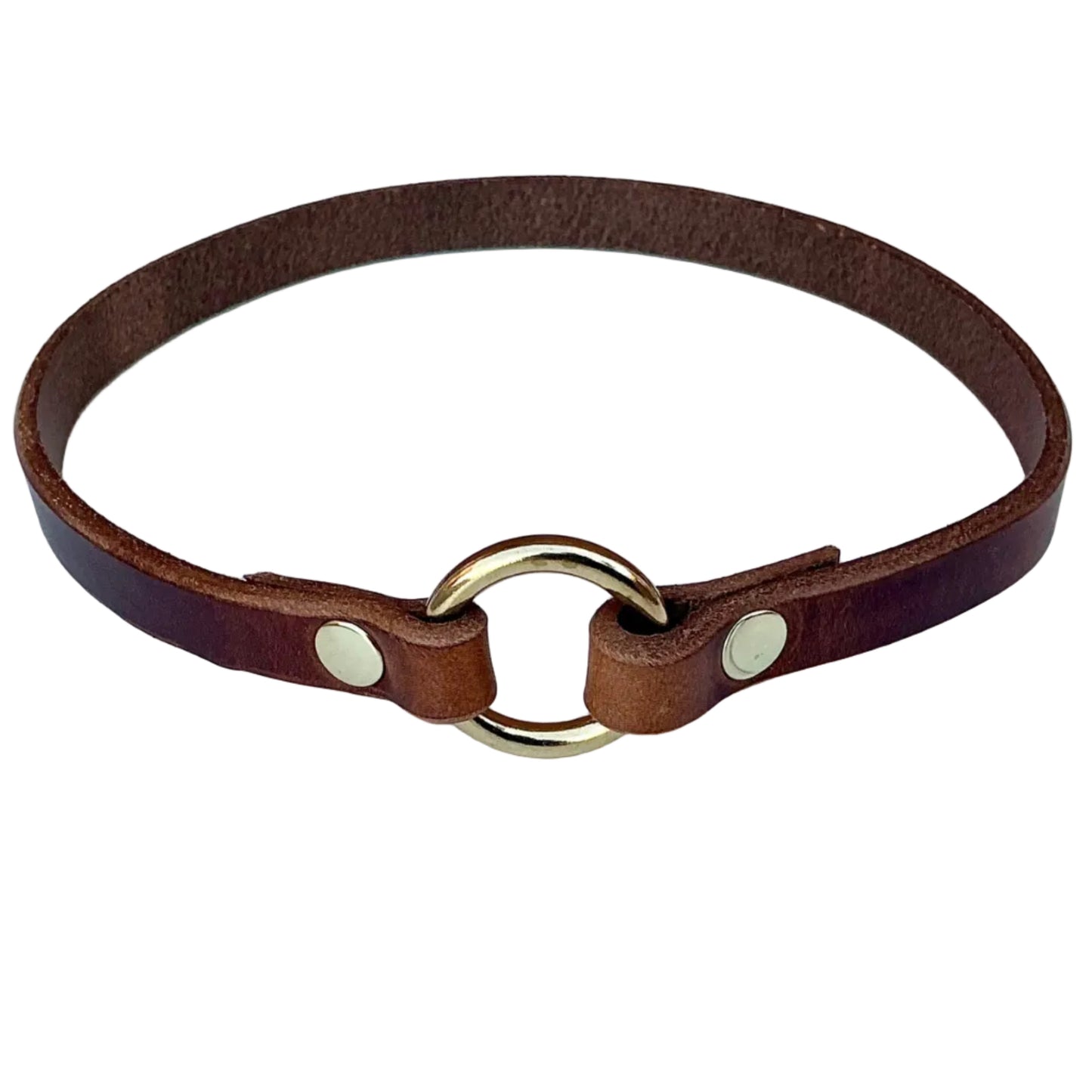 Leather ID Collar