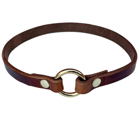Leather ID Collar
