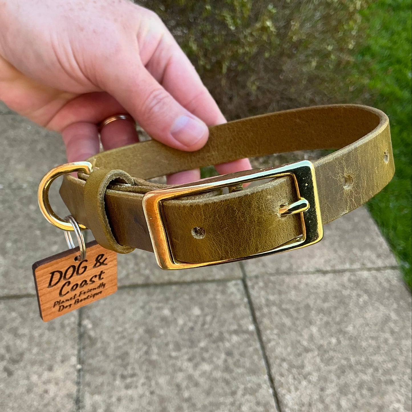 Full Grain Leather Collar - Olive