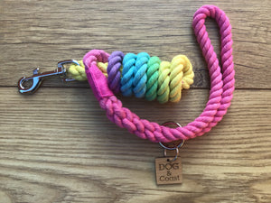 Rainbow Rope Collar