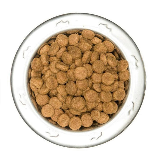 Beef & Vegetable - Premium Complete Dog Food