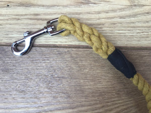 Gold Rope Lead