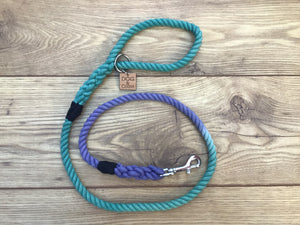 Green & Blue Rope Lead