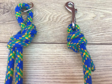 Load image into Gallery viewer, Blue &amp; Green Coupling Climbing Rope Lead
