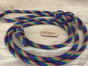 Rainbow Rope Slip Lead