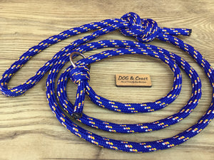 Blue Rope Slip Lead